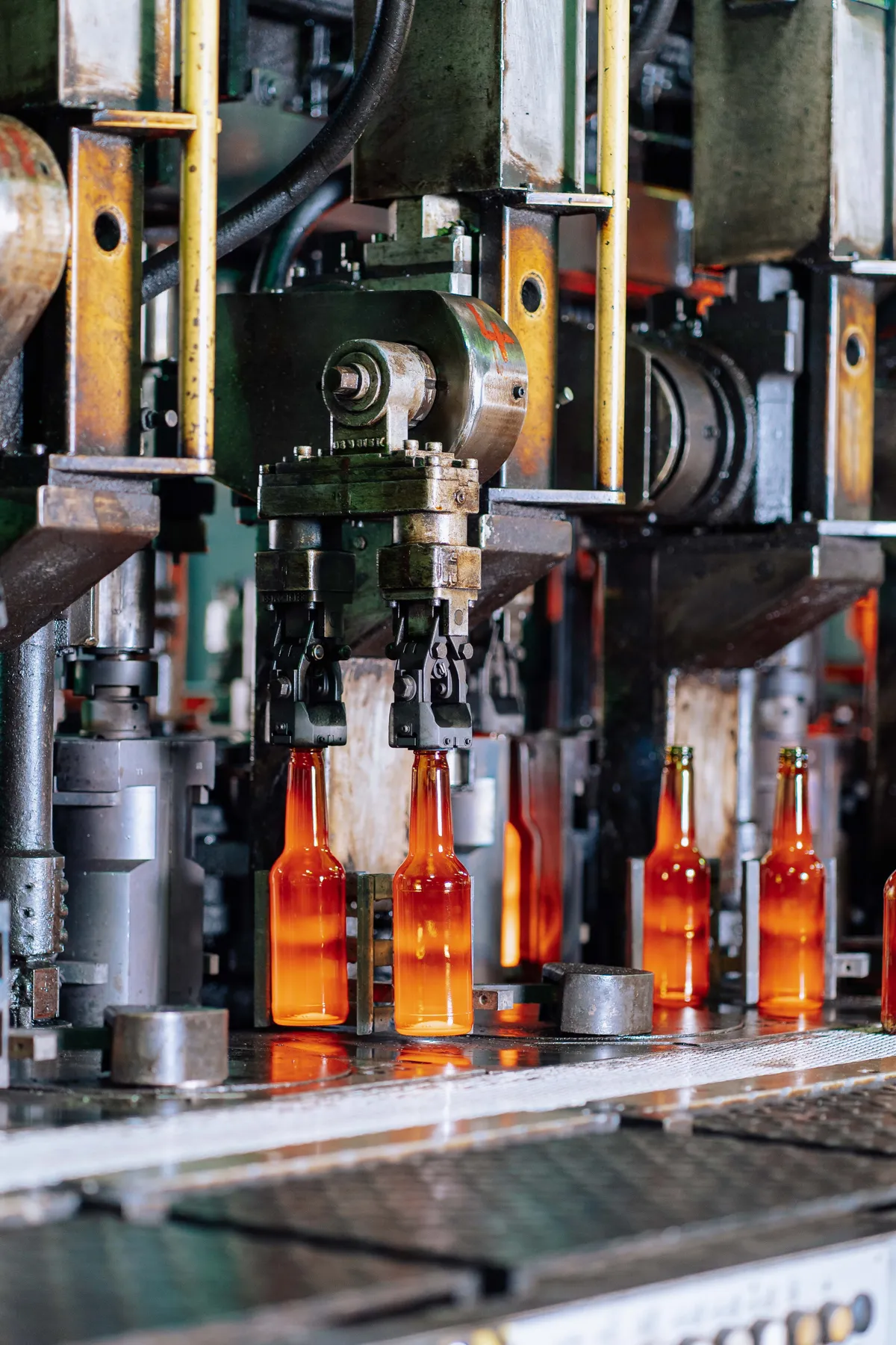 Amber glass bottles moving through an automated production line.